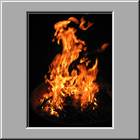 d Yosemite NP Crane Flat Campground 17