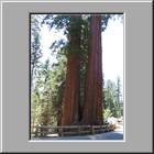 a Kings-Canyon-NP 17