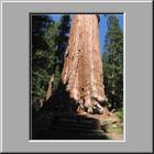 a Kings-Canyon-NP 29