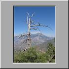 a Kings-Canyon-NP 37