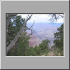 c Grand-Canyon 61