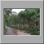 f Bright-Angel-Campground 05