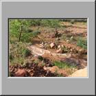 a Capitol Reef NP 16