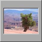 a Canyonland NP 115