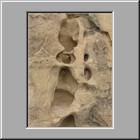 i Mesa Verde NP Petroglyph Trail 06