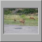 k Mesa Verde NP Campground div. 03