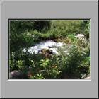 d Rocky Mountain NP 82